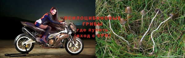 стафф Алексеевка