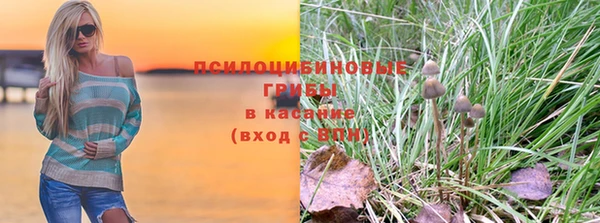 стафф Алексеевка