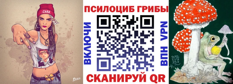 Галлюциногенные грибы Magic Shrooms  где купить наркоту  blacksprut   Южно-Сухокумск 